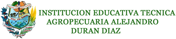 Institución Educativa Alejandro Duran Díaz